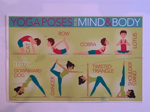 Drawing of person demonstrating various yoga poses